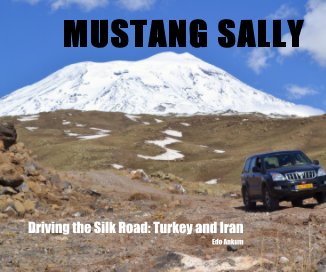 MUSTANG SALLY book cover