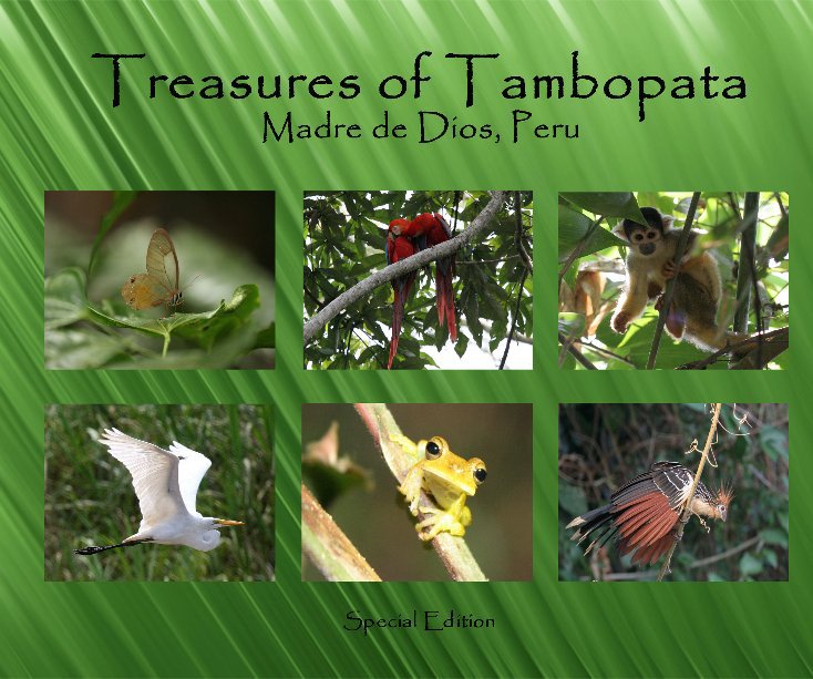 View Treasures of Tambopata, Special Edition by JoAnn Irvin