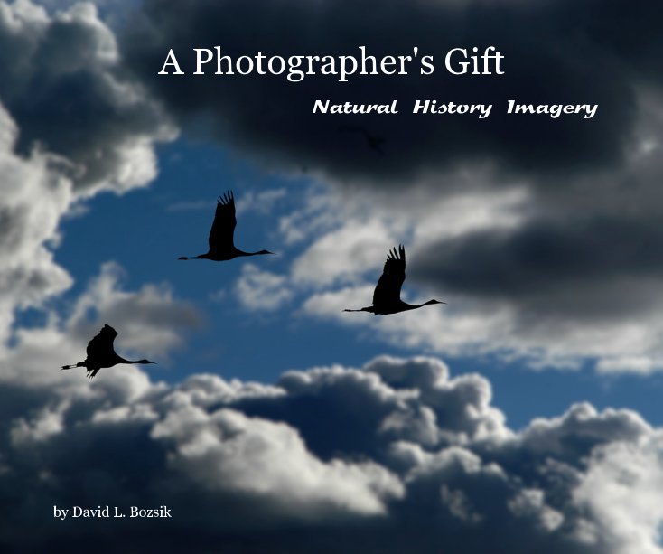 View A Photographer's Gift by David L. Bozsik