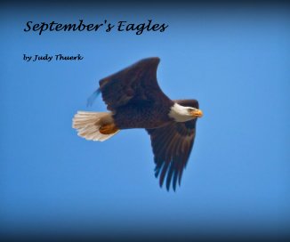 September's Eagles book cover