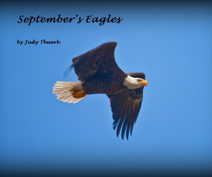 View September's Eagles by Judy Thuerk