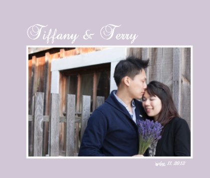 Tiffany & Terry book cover