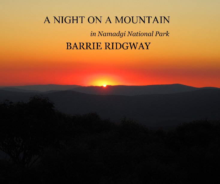 Visualizza A NIGHT ON A MOUNTAIN di BARRIE RIDGWAY