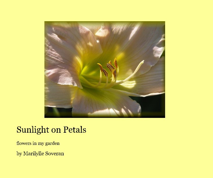 View Sunlight on Petals by Marilylle Soveran