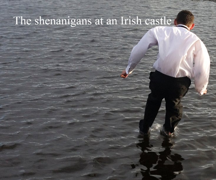 View The shenanigans at an Irish castle by John Dix ( dixie05@eircom.net )