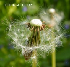 Life in close-up book cover