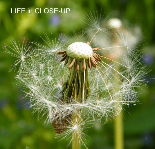 View Life in close-up by R.A.Goble