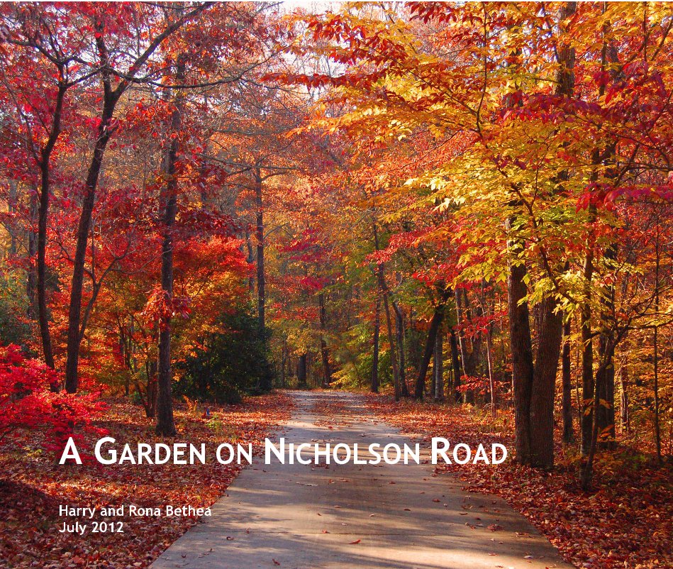 Visualizza A GARDEN ON NICHOLSON ROAD di Harry and Rona Bethea July 2012