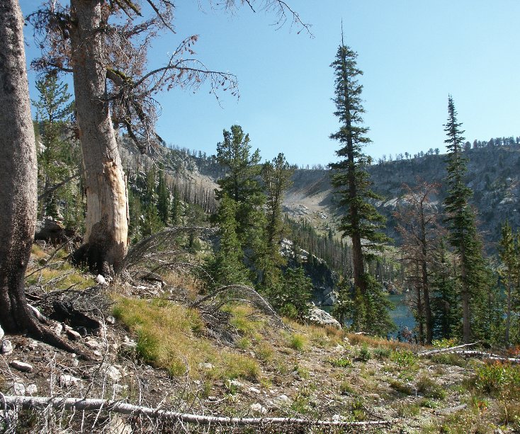 View Summer in the Sawtooth Wilderness by Paul Okumura