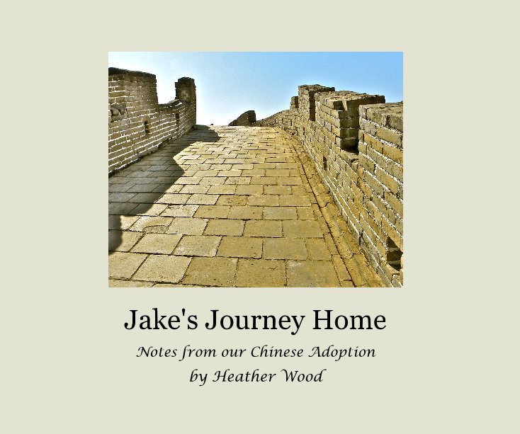 View Jake's Journey Home by Heather Wood