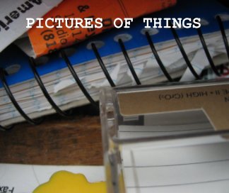 Pictures of Things book cover