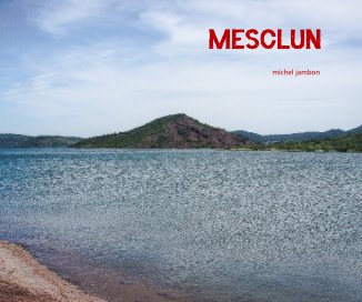 MESCLUN book cover