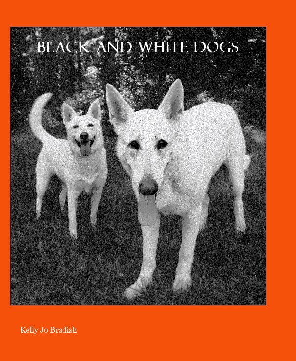 View Black and White Dogs by Kelly Jo Bradish