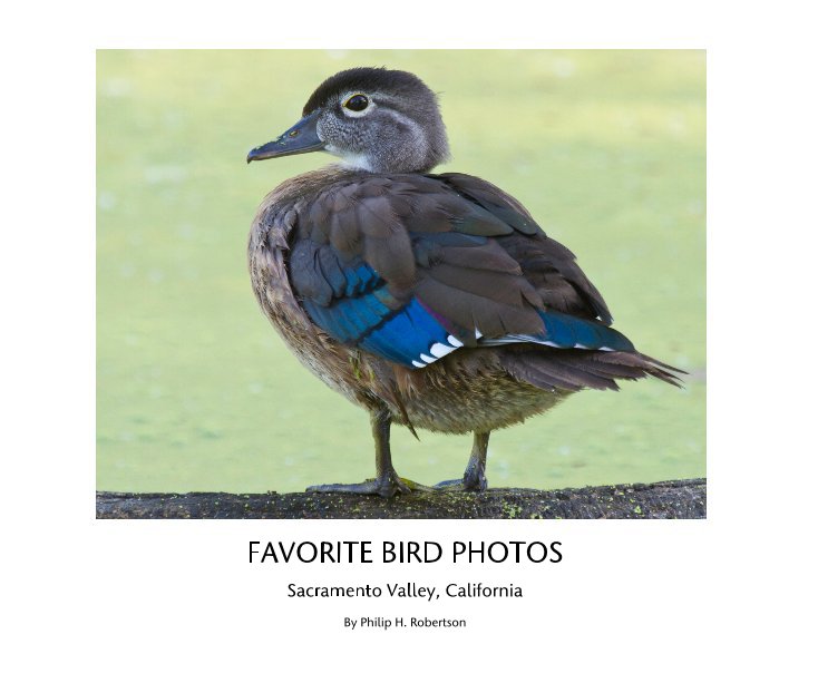 Ver FAVORITE BIRD PHOTOS por Philip H. Robertson