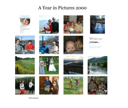 A Year in Pictures 2000 book cover