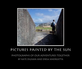 Pictures Painted By the Sun book cover