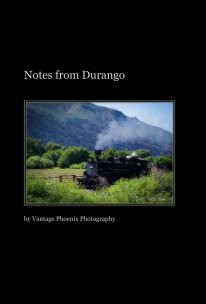 Notes from Durango book cover
