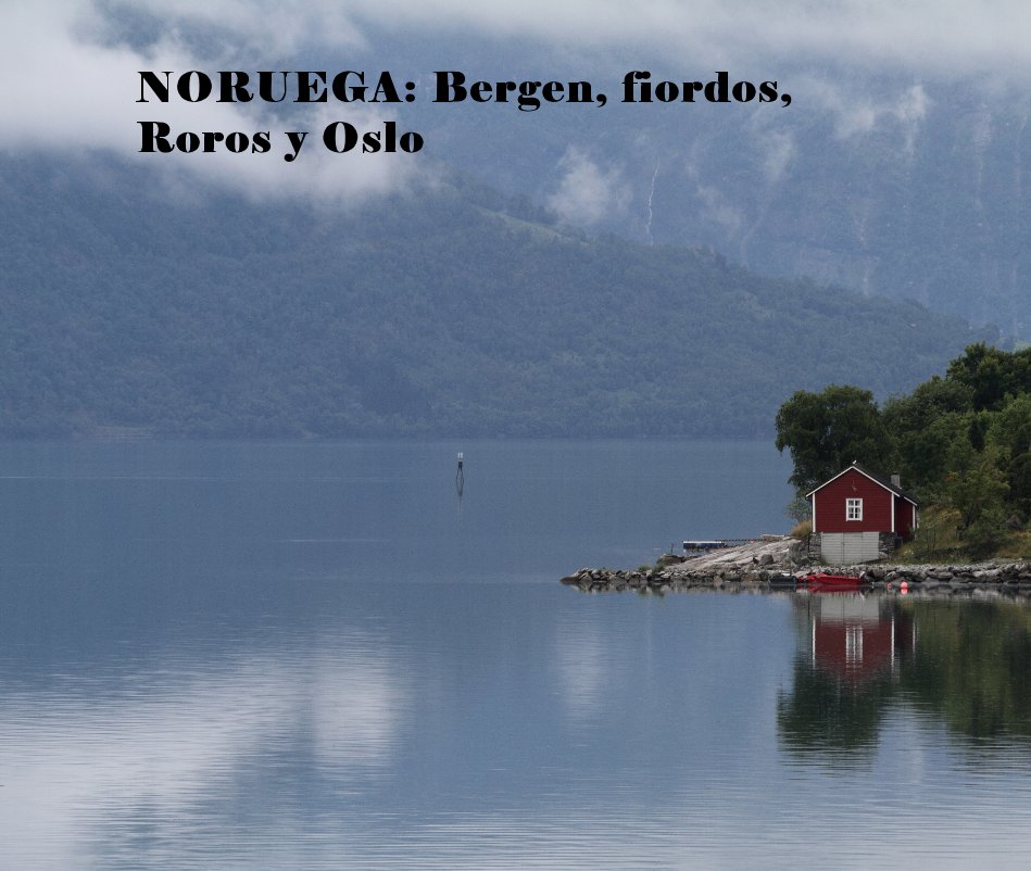 Visualizza NORUEGA: Bergen, fiordos, Roros y Oslo di jcbeloqui