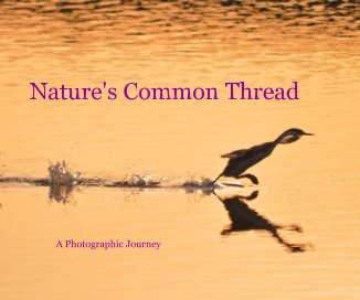 Nature's Common Thread A Photographic Journey book cover