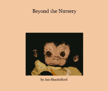Beyond the Nursery book cover