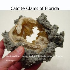 Calcite Clams of Florida book cover