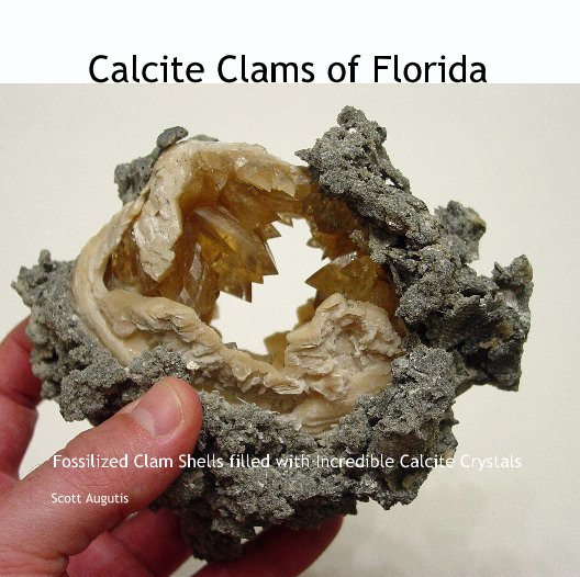 View Calcite Clams of Florida by Scott Augutis