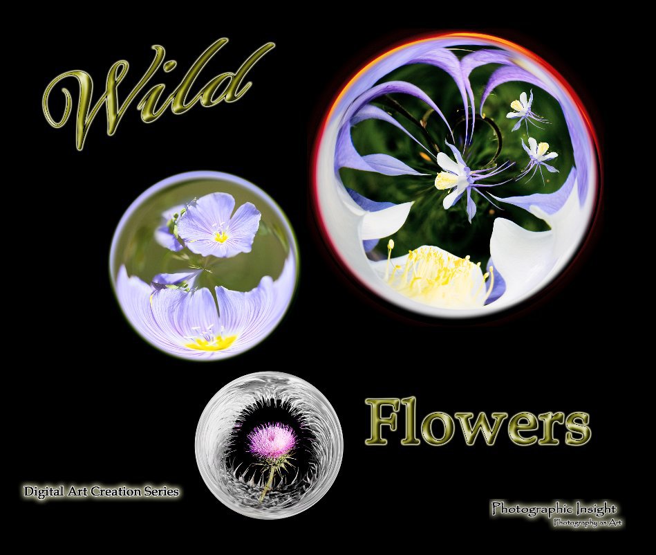View Wild Flowers by Barry L. White