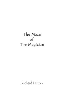 The Maze of The Magician book cover