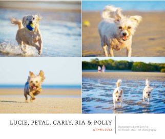 Lucie, Petal, Carly, Ria & Polly book cover