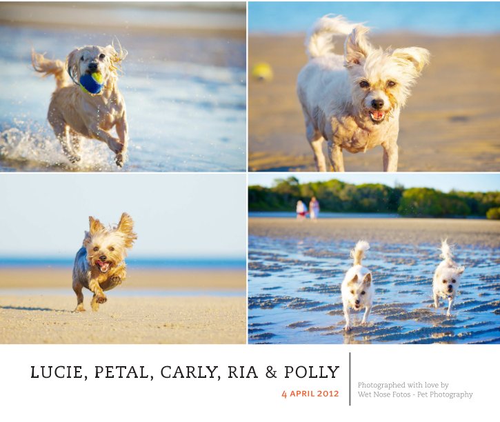 Ver Lucie, Petal, Carly, Ria & Polly por Wet Nose Fotos