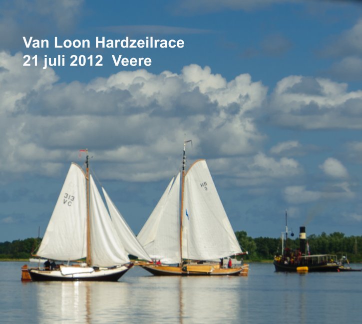 View Van Loon Hardzeilrace by Peter Laarakker