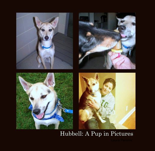 View Hubbell: A Pup in Pictures by Laura Perenic