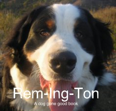 Rem-Ing-Ton book cover