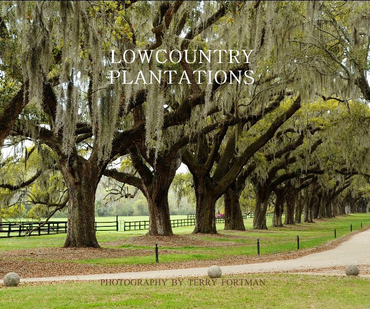 View LOWCOUNTRY PLANTATIONS PHOTOGRAPHY BY TERRY FORTMAN by tfortman