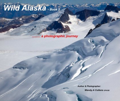 Wild Alaska - Book 2 book cover