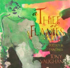 A Thief of Flames book cover