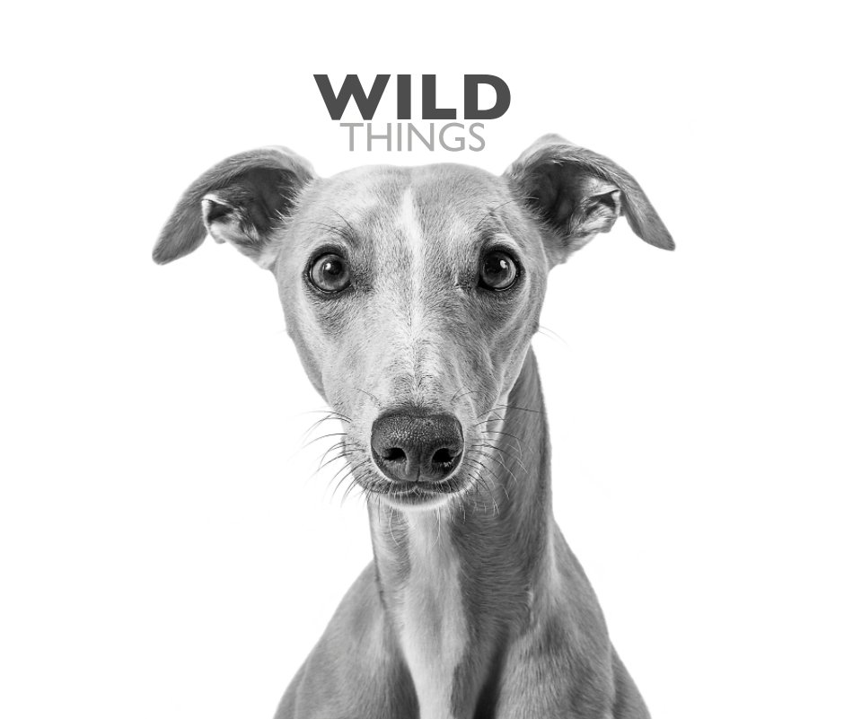 View Wild Things by Sarah Zehentner