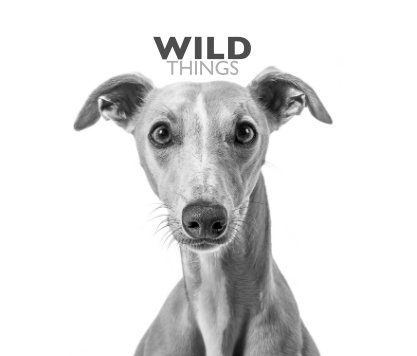 Wild Things book cover