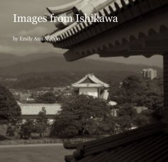Images from Ishikawa book cover