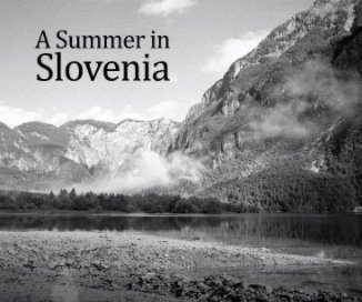 A Summer in Slovenia book cover
