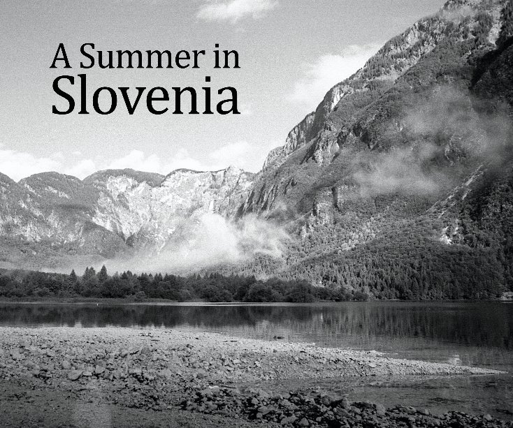 View A Summer in Slovenia by Owen Reading