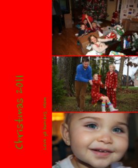 Christmas 2011 book cover