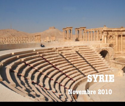 SYRIE Novembre 2010 book cover