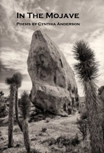 In The Mojave book cover