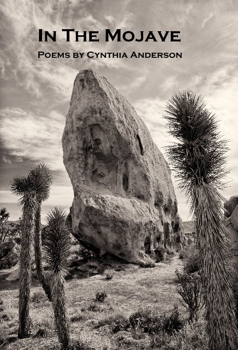 View In The Mojave by Cynthia Anderson