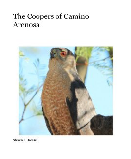 The Coopers of Camino Arenosa book cover
