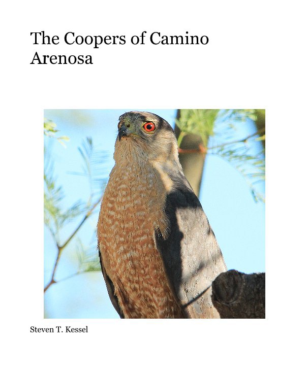 Bekijk The Coopers of Camino Arenosa op Steven T. Kessel