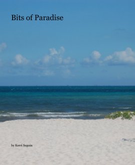 Bits of Paradise book cover