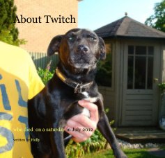 About Twitch book cover