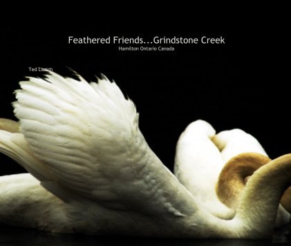 Feathered Friends...Grindstone Creek Hamilton Ontario Canada book cover